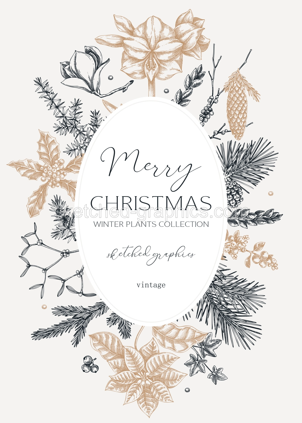 Vintage Christmas card design. Winter wedding invitation template. Conifer trees, winter flowers sketches. Hand drawn floral illustration. NOT AI generated Illustration